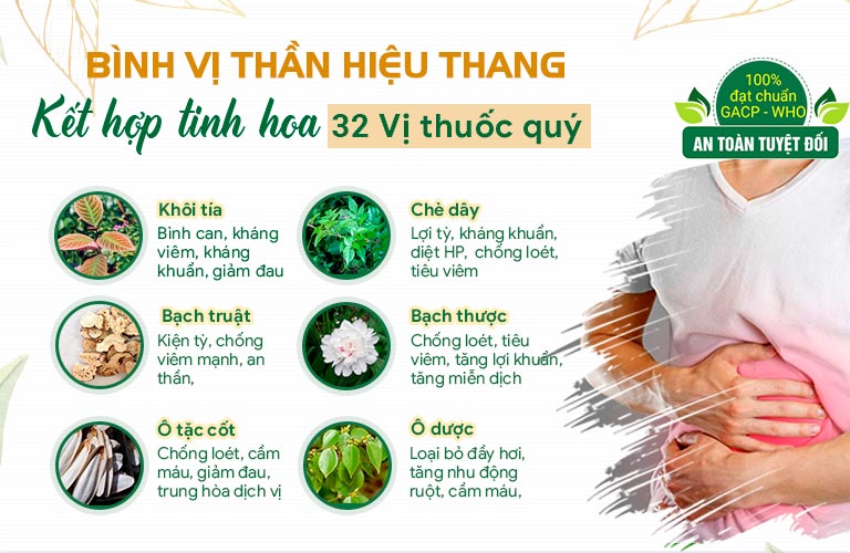 Một số thành phần chủ dược trong Bình vị Thần hiệu Thang