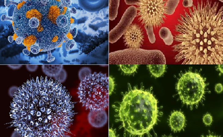 Virus, vi khuẩn là một trong những nguyên nhân gây bệnh viêm tai