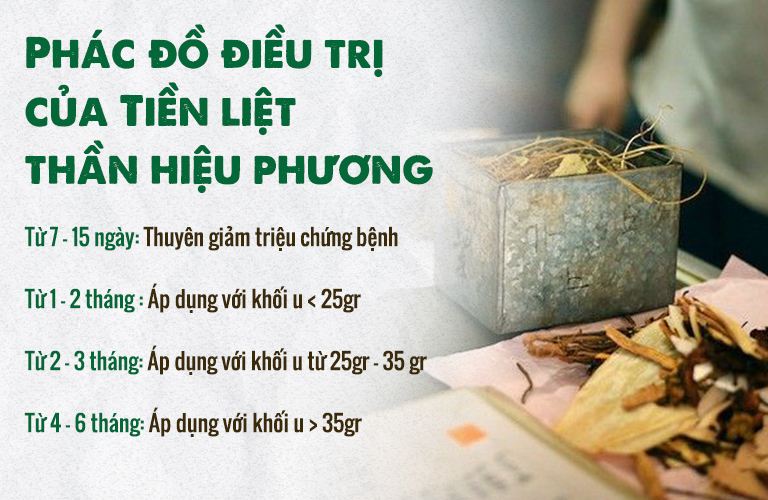 phi-dai-tien-liet-tuyen-14