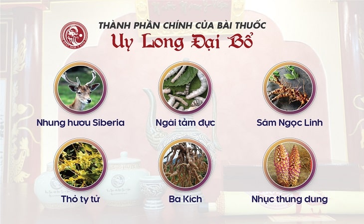 Dược liệu chính trong bài thuốc Uy Long Đại Bổ