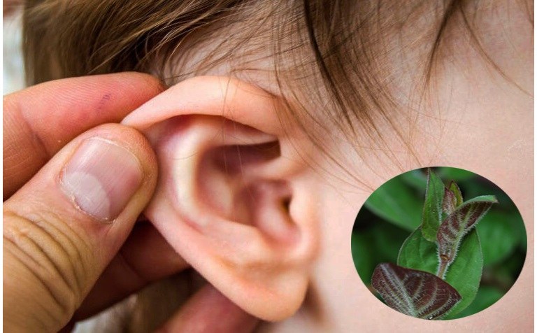 chữa viêm tai giữa tại nhà