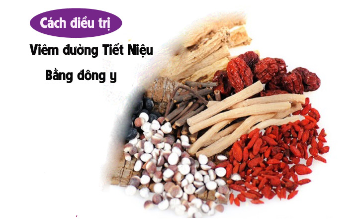 Chữa viêm đường tiết niệu bằng Đông y hiệu quả, an toàn