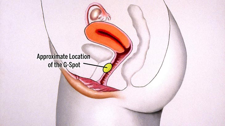 Vị trí nằm sâu trong âm đạo, tìm điểm g giúp nàng nhanh đạt cao trào hơn