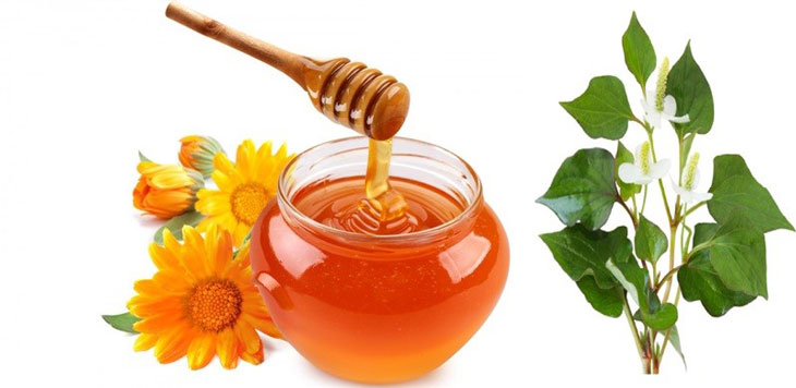 Bài thuốc kết hợp mật ong và rau diếp cá