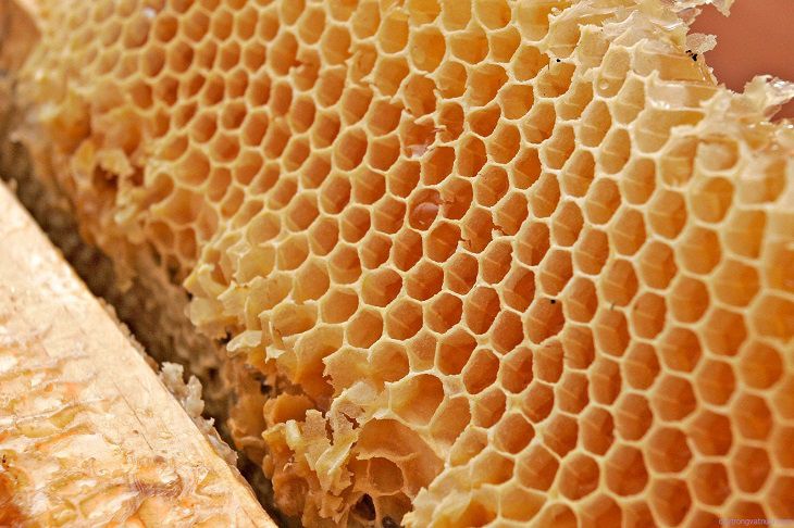 Công dụng của sáp ong với sức khỏe, kháng viêm đã được chứng minh