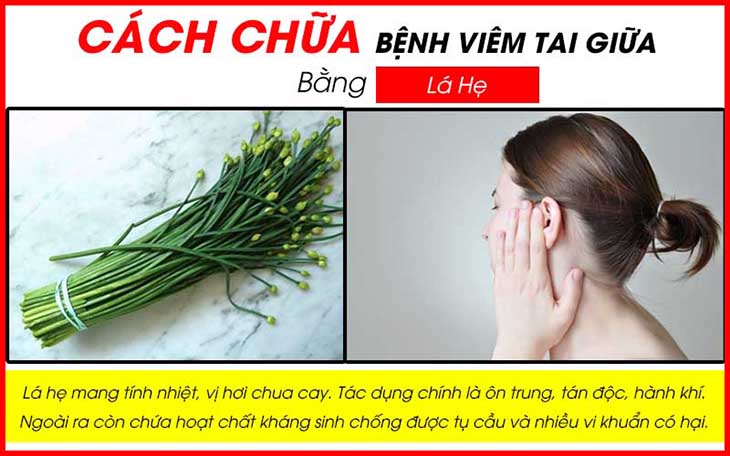 Lá hẹ thường xuất hiện nhiều trong các mẹo dân gian chữa các bệnh về tai