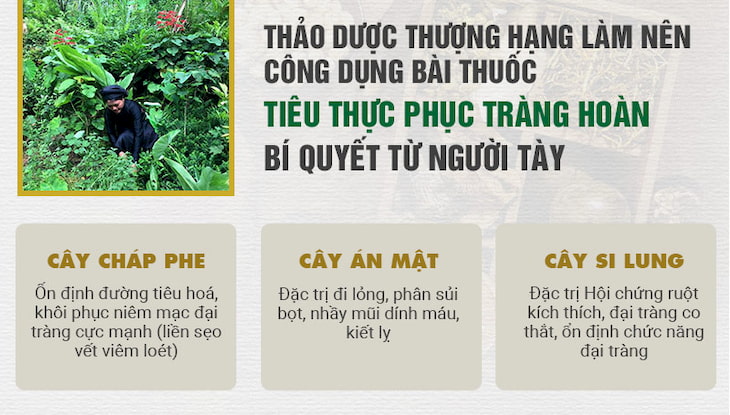 Thành phần thảo dược đặc trị trong bài thuốc từ bí quyết của người Tày