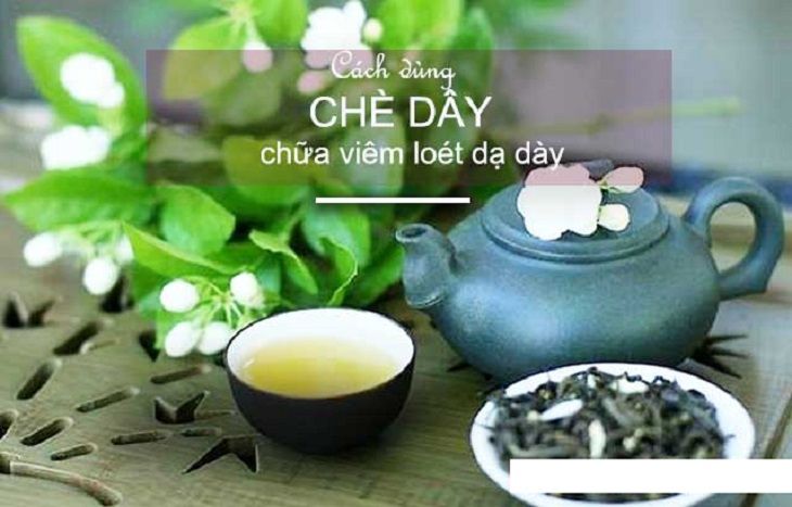 Bạn có thể pha nước chè dây để uống hằng ngày