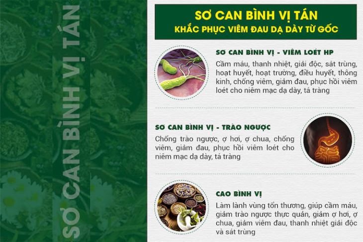 Bài thuốc Sơ can bình tán với 3 chế phẩm kết hợp với nhau điều trị bệnh hiệu quả