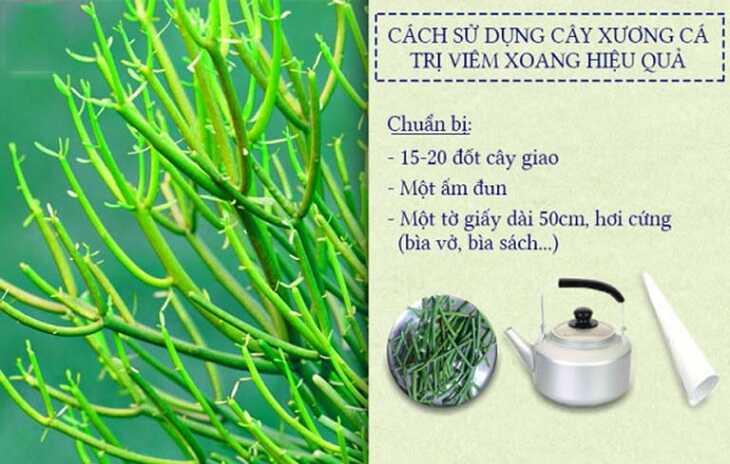 Xông hơi bằng cây giao giúp giảm tình trạng mất ngủ do viêm xoang