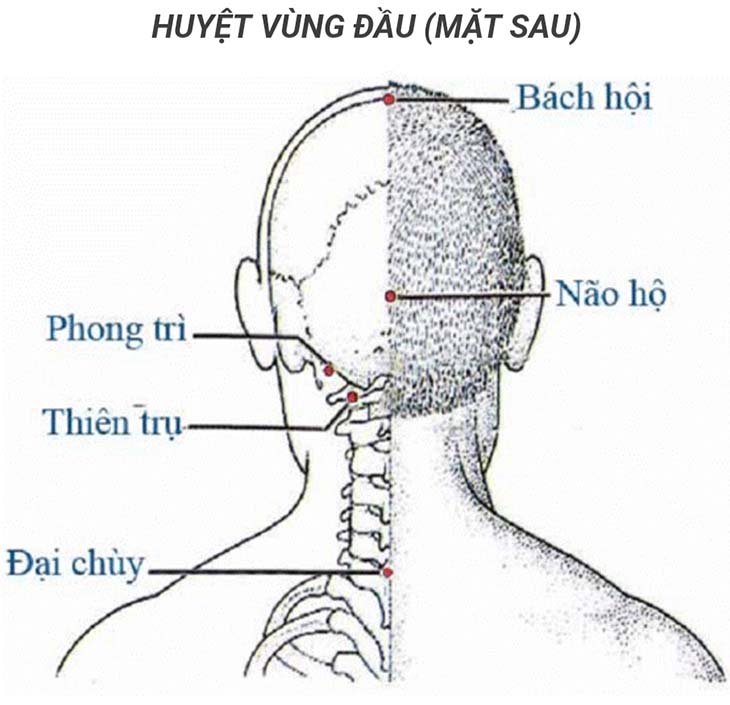 Điều trị viêm tai giữa bằng phương pháp Đông y bấm huyệt, châm cứu huyệt phong trì