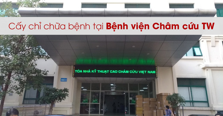 Một trong các địa chỉ cấy chỉ người bệnh có thể tham khảo