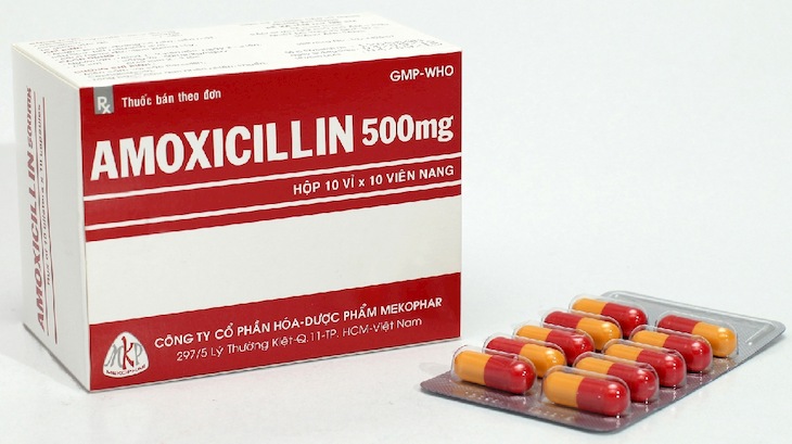 Thuốc kháng sinh Amoxicillin 500mg