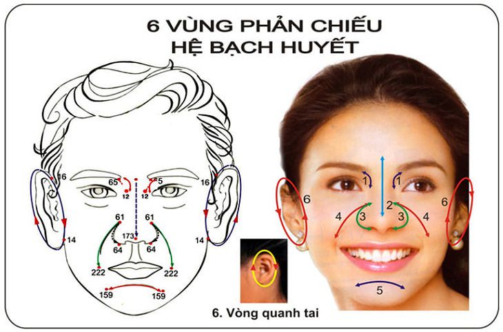 6 vùng phản chiếu trên mặt