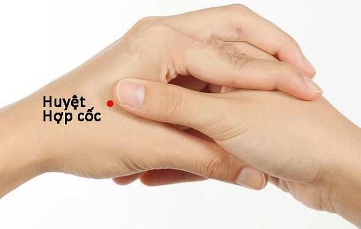 Huyệt Hợp Cốc là một trong những huyệt tổng của cơ thể, chủ vùng đầu mặt, nằm ở giữa ngón tay cái và ngón trỏ