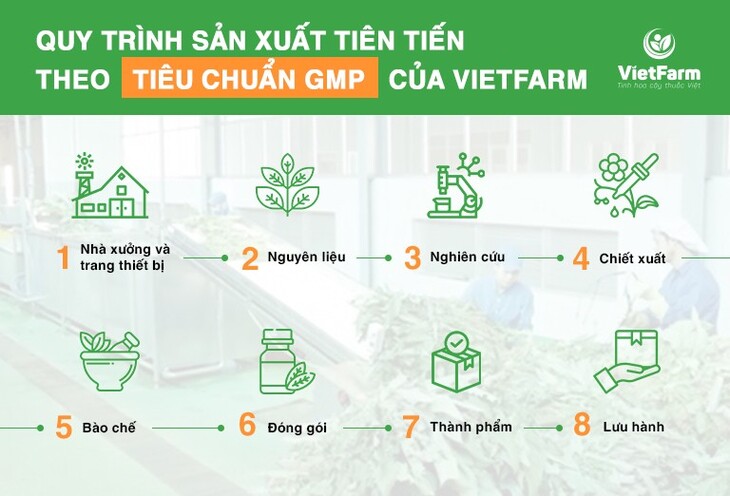 Quy trình nuôi cấy tiêu chuẩn của Vietfarm đã tạo nên những sản phẩm tuyệt vời cho sức khỏe