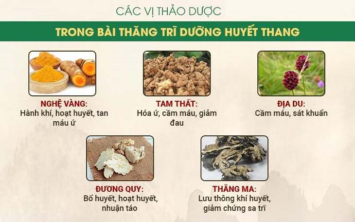 Thành phần bài thuốc Thăng trĩ dưỡng huyết thang