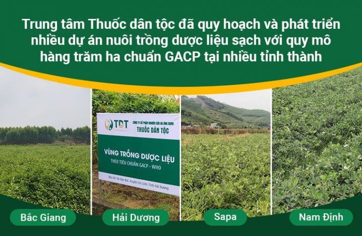 Vườn dược liệu của TT Thuốc dân tộc