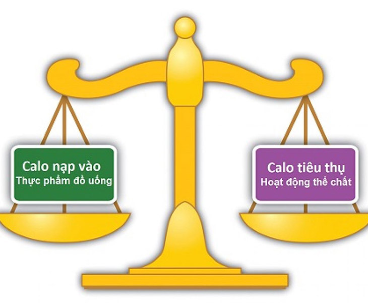 Thực đơn giảm cân cho nam giới cần có lượng calo nạp vào ít hơn lượng calo tiêu thụ