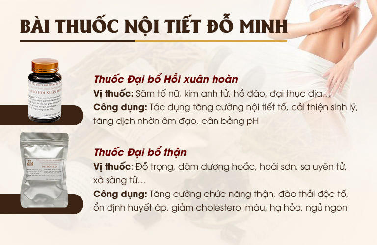 Thành phần và công dụng của bài thuốc Nội tiết Đỗ Minh