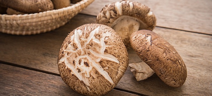 Nấm Shiitake là loại rau vô cùng tốt cho người bị suy thận