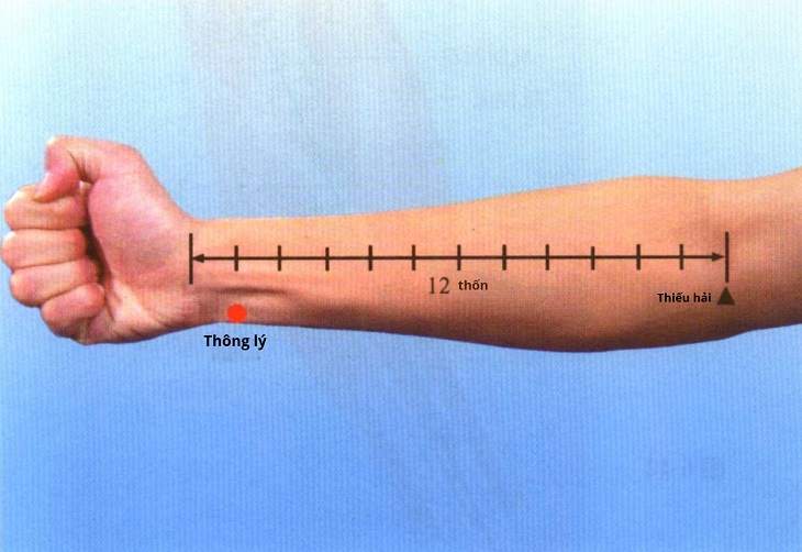 Vị trí huyệt thông lý trên cơ thể con người