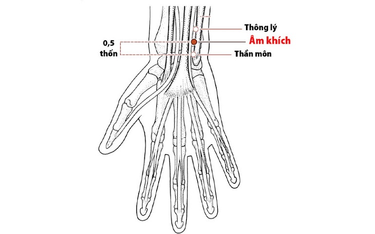 Bấm huyệt để chữa nhiều căn bệnh khác nhau trong cơ thể