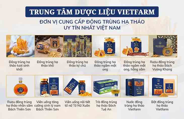 Các chế phẩm của Đông trùng hạ thảo Vietfarm