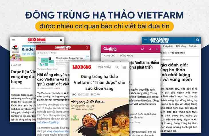 Trang báo lớn, chính thông đưa tin về Đông trùng hạ thảo Vietfarm