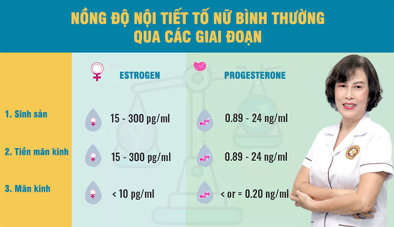 Estrogen là hormone/nội tiết tố nữ quan trọng hàng đầu đối với quá trình sinh sản và đặc biệt là "chuyện ấy"