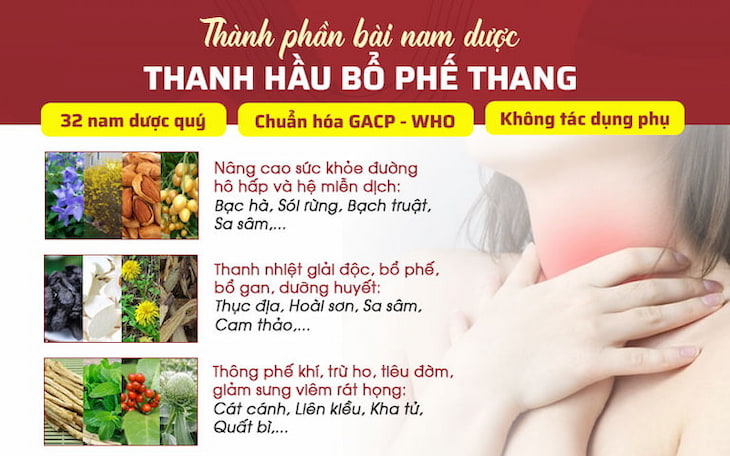 Thành phần bài thuốc thảo dược Thanh Hầu bổ phế thang đạt chuẩn GACP - WHO