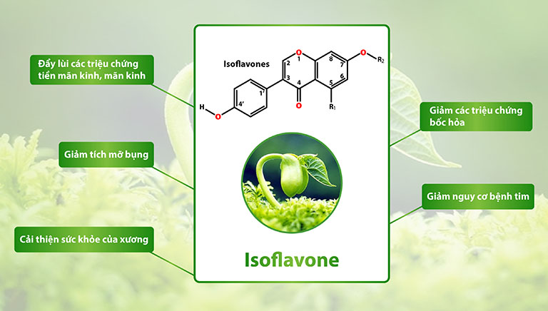 Isoflavone được cho rằng mang lại nhiều lợi ích cho sức khỏe, đây cũng là thành phần xuất hiện nhiều trong các viên uống tăng ham muốn