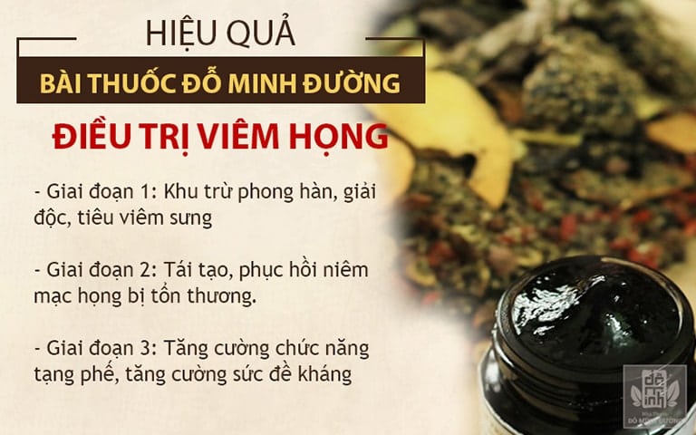 tác dụng bài thuốc viêm họng Đỗ Minh Đường