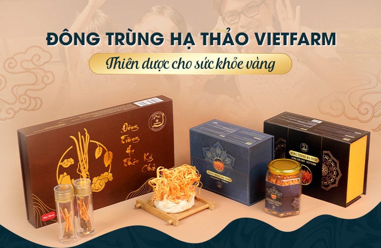 Bộ sản phẩm Đông trùng hạ thảo Vietfarm cung cấp ra thị trường