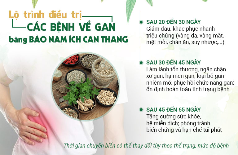 Lộ trình chung khi điều trị bệnh gan tại Thuốc dân tộc