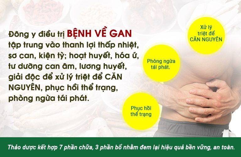 Nguyên tắc chung trong điều trị bệnh gan bằng YHCT 