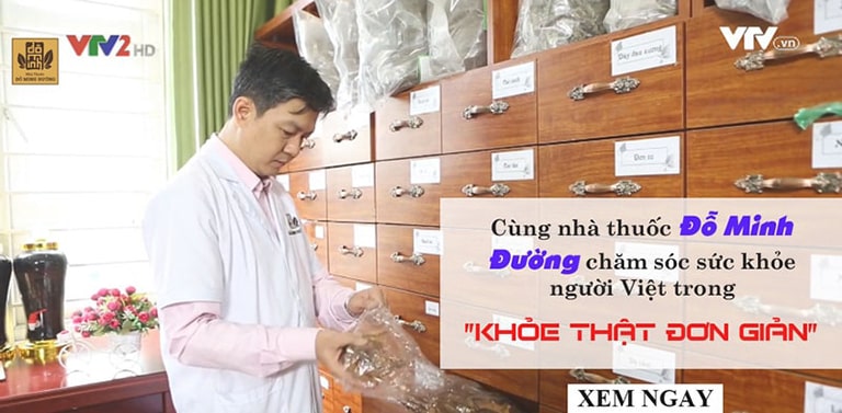 Đỗ Minh Thoát Vị Thang được nghiên cứu cẩn thận bởi các lương y dòng họ Đỗ Minh