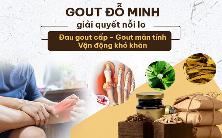 Bài thuốc gout của Đỗ Minh Đường