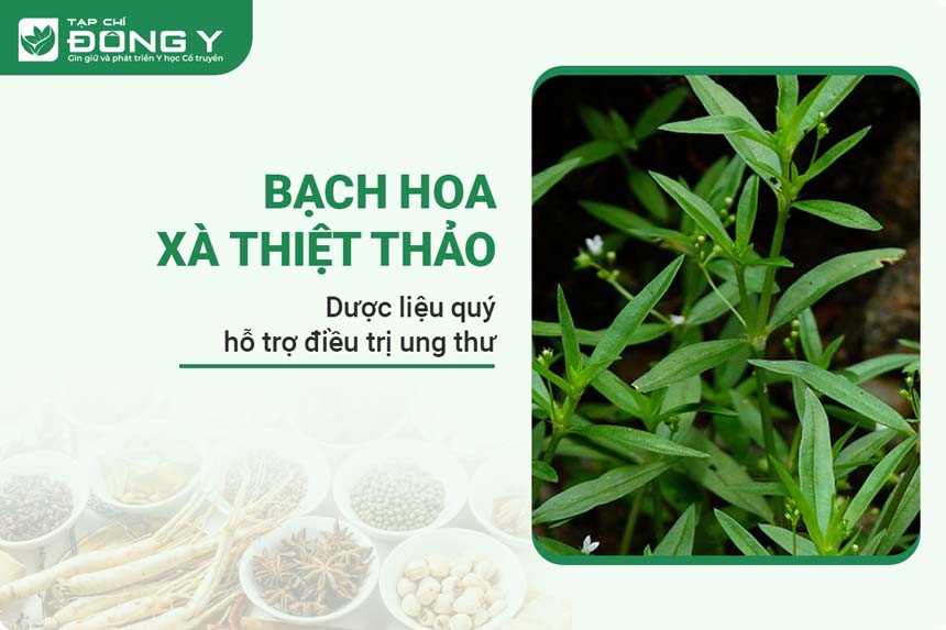 bach-hoa-xa-thiet-thao