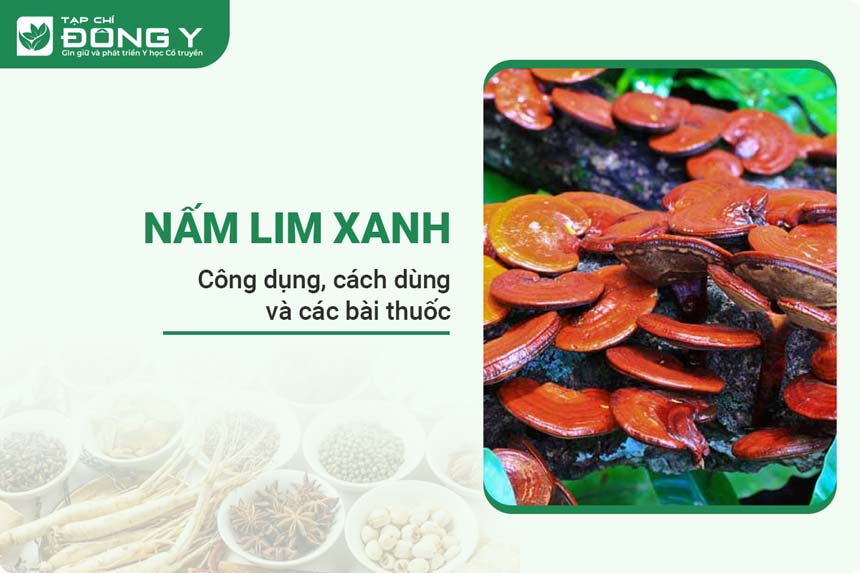 nam-lim-xanh