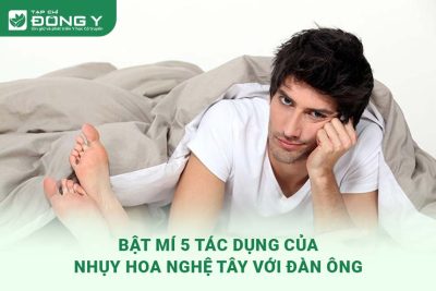 tac-dung-cua-nhuy-hoa-nghe-tay-voi-dan-ong