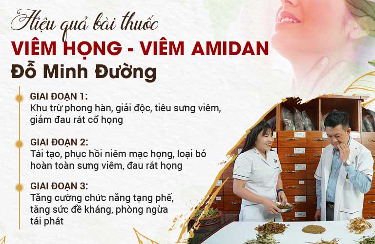 Hiệu quả tác động bài thuốc chữa viêm họng, viêm amidan Đỗ Minh Đường Hiệu quả tác động bài thuốc chữa viêm họng, viêm amidan Đỗ Minh Đường