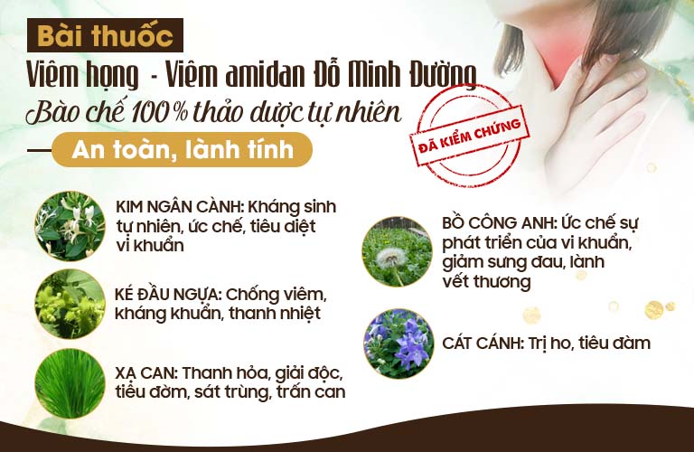 Thành phần bài thuốc chữa viêm amidan của lương y Tuấn