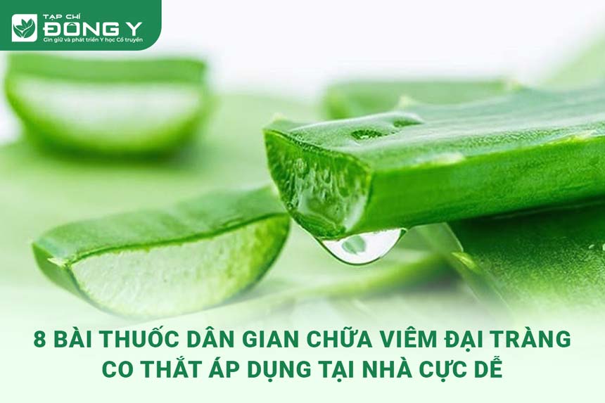 bai-thuoc-dan-gian-chua-viem-dai-trang-co-that