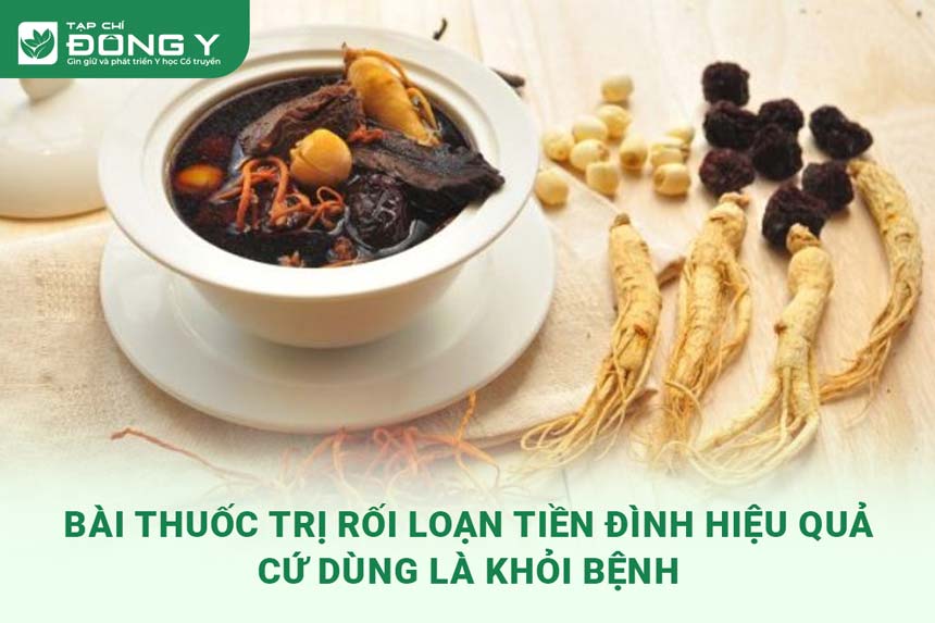 bai-thuoc-tri-roi-loan-tien-dinh