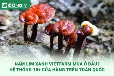 nam-lim-xanh-vietfarm-mua-o-dau