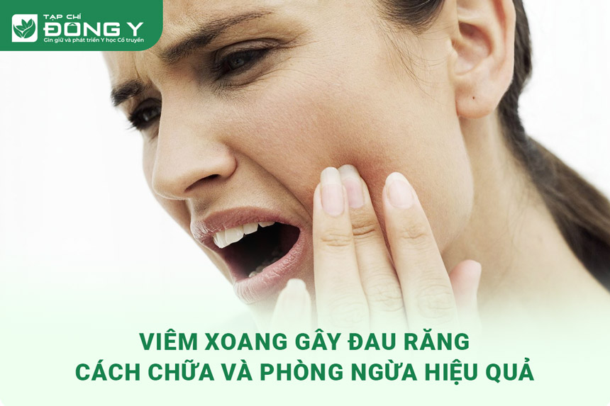 Viêm Xoang Gây Đau Răng