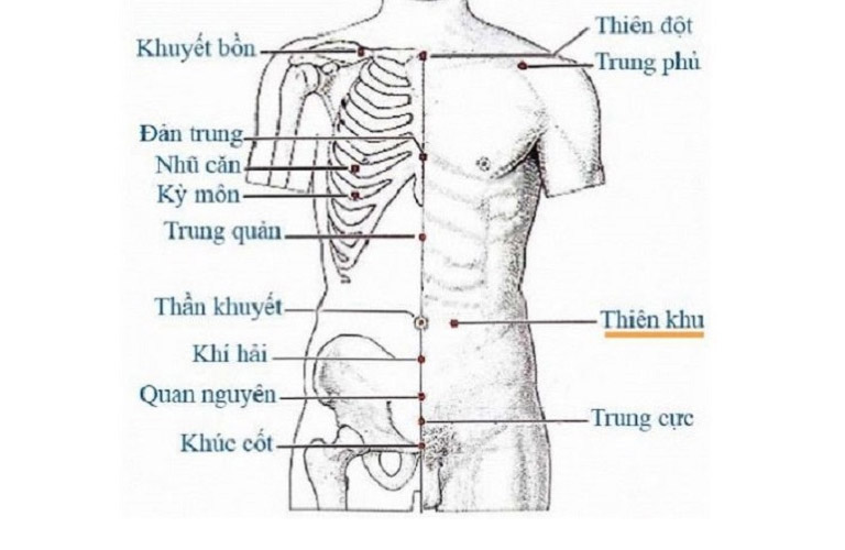 huyệt thiên khu