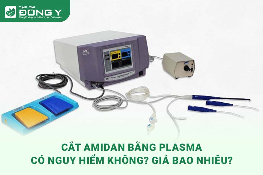 cat-amidan-bang-plasma