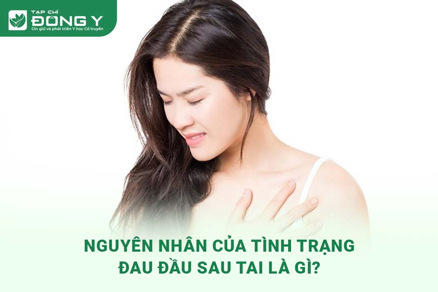 Đau Đầu Tim Đập Nhanh: Nguyên Nhân, Triệu Chứng và Cách Phòng Ngừa Hiệu Quả